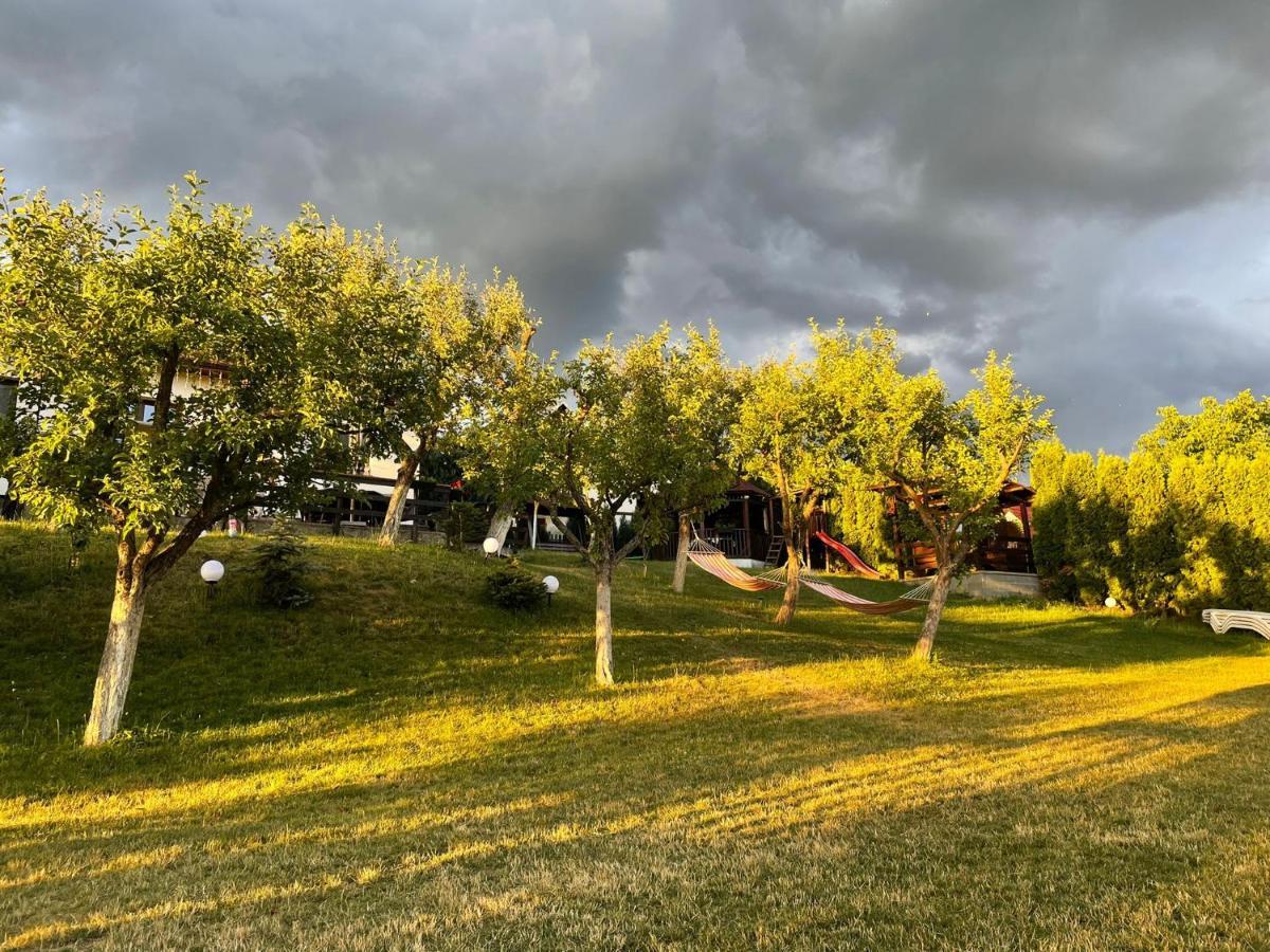 Cazare Colibita Casa Lipan Exteriér fotografie