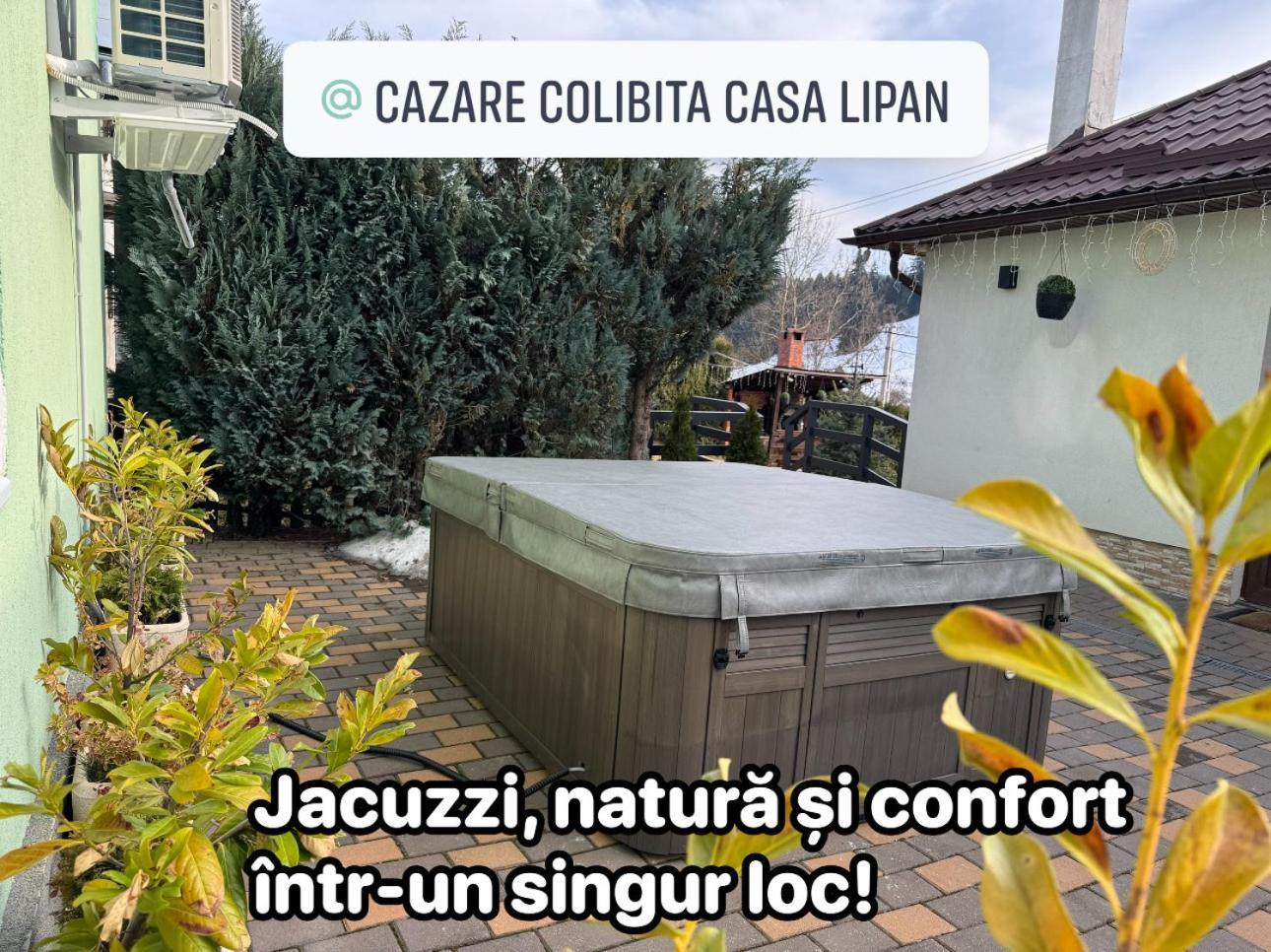 Cazare Colibita Casa Lipan Exteriér fotografie